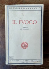 Libro fuoco gabriele usato  Volpeglino