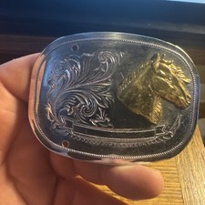 Vintage old western for sale  Cornell