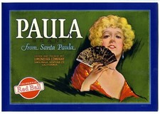 PAULA (SENORITA) RÓTULO ORIGINAL DE CAIXA DE FRUTAS LIMÃO SANTA PAULA VENTURA CALIFÓRNIA comprar usado  Enviando para Brazil