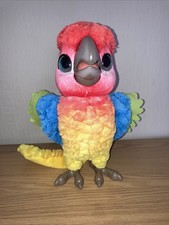 Furreal rock parrot for sale  HOLYWELL