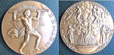 Médaille bronze arts d'occasion  Montpellier-