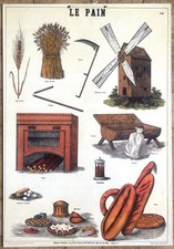 Ancienne affiche scolaire d'occasion  Lyon VII