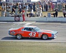 Richard petty 1976 for sale  USA