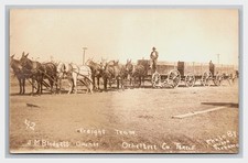 Rppc blodgett horse for sale  Oakland