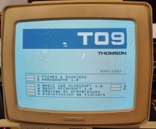 Moniteur couleur thomson d'occasion  Meudon