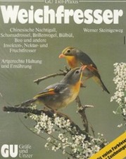 chinesische nachtigall gebraucht kaufen chinesische nachtigall gebraucht kaufen München