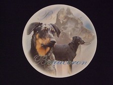 Tapis souris beauceron d'occasion  Troyes