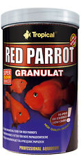 Tropical red parrot gebraucht kaufen  Zenting