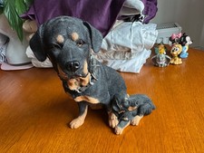 Country artists rottweiler for sale  ASHFORD