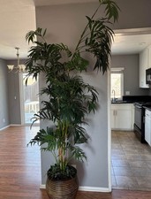6ft artificial palm for sale  Newport Beach