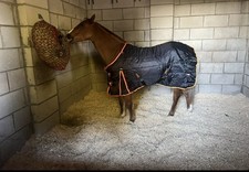 Gallop ponie 100g for sale  DONCASTER