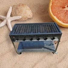 Gasgrill wurstbräter flammig gebraucht kaufen  Norderstedt