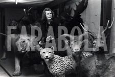 Vintage animali regno usato  Roma