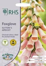 Foxglove suttons apricot for sale  NEWMARKET