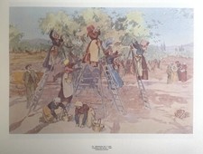 Illustration provence léo d'occasion  Martigues