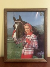 Vintage woman horse for sale  Akron