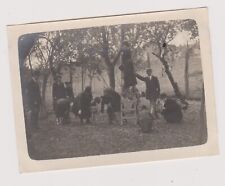 Antique photo plum d'occasion  Expédié en Belgium