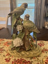 parakeets adult pairs for sale parakeets adult pairs for sale Jacksonville