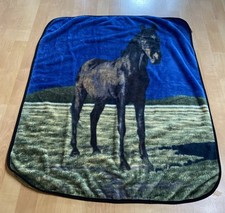 Oak trail horse for sale  Saint Michael