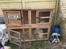 Guinea pig two for sale  ST. NEOTS