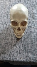 Totenkopfschädel totenkopf da gebraucht kaufen  Dresden