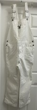 Craftsman white painters for sale  Lutz