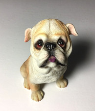 Cute bulldog pug for sale  Gold Beach