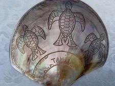 Coquille huitre perlière d'occasion  France