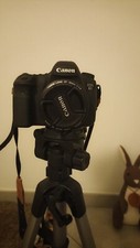 Canon eos 20.2 usato  Vercelli