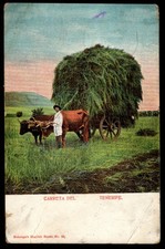 Cartão postal antigo CARRETA DEL TENERIFE, ILHAS CANÁRIAS, ESPANHA (aumentado) comprar usado  Enviando para Brazil