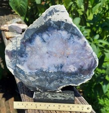 Large violet purple for sale  Jacksonville