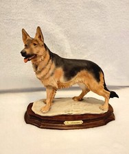 Armani german shepherd for sale  Dyer