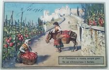 Cartolina camerino 1918 usato  Roma