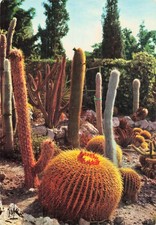Cote azur eze d'occasion  Expédié en Belgium