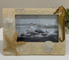Vtg life echoes for sale  Greenbrier