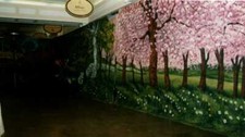 Mur fleurs jardin d'occasion  Masseube