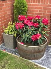 Garden planter half for sale  PRESTON