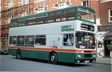 Grey green alexander for sale  SCARBOROUGH