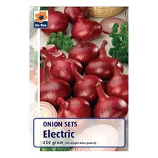 250g onion sets for sale  LLANDYSUL