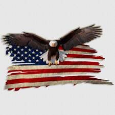 Bald eagle american for sale  Mercer
