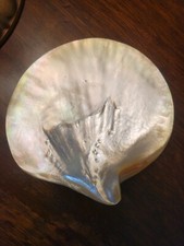 Vtg capiz shell for sale  Fair Oaks