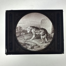 Antique woodbury magic for sale  SOLIHULL