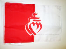 Drapeau département vendée d'occasion  France