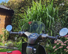 Windschild honda super gebraucht kaufen  Ebern