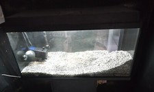 Aquarium 112 unterschrank gebraucht kaufen  Isselburg