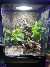 Terrarium automatic mister for sale  Barboursville