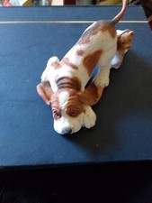 Country artists puppy for sale  LIVERPOOL