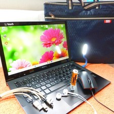 Sony vaio svp13 gebraucht kaufen  Oberweißbach/Thür. Wald