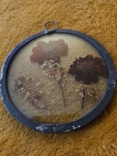 Pressed dried flowers for sale  Mchenry