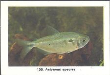 Rizla exotic aquarium for sale  MATLOCK